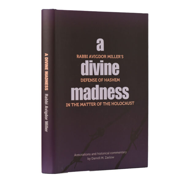 DIVINE MADNESS