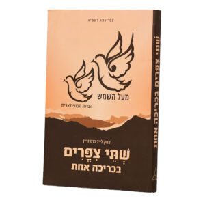 שתי ציפורים בכריכה אחת ר' יצחק ברנדווין