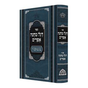 דגל מחנה אפרים פאר מקדושים בכ"א