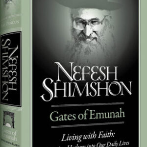 NEFESH SHIMSHON LIVING WHITH FAITH