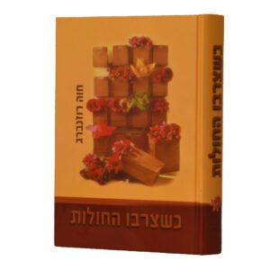 כשצרבו החולות רוזנברג