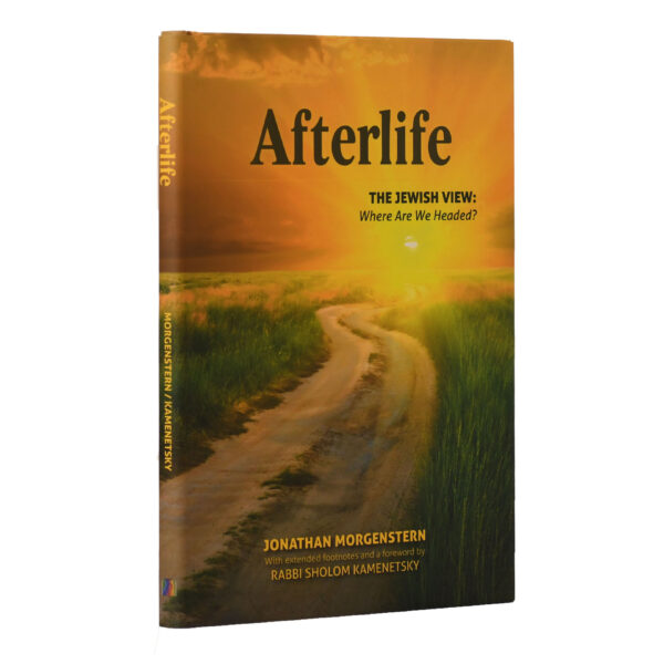 AFTERLIFE THE JEWISH VIEW