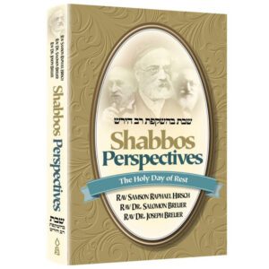 SHABBOS PERSPECTIVES