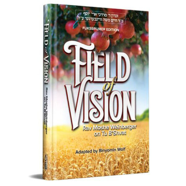 FIELD OF VISION