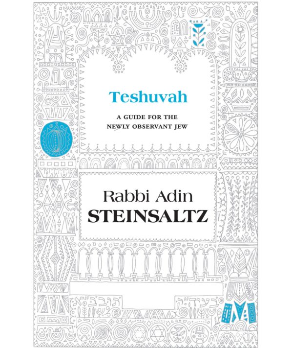 TESHUVAH STEINSALZ HC