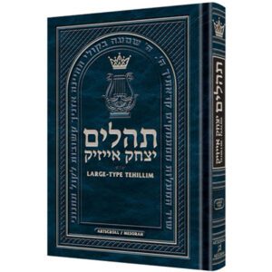 TEHILLIM LARGE PRINT POCKET P/B S/C