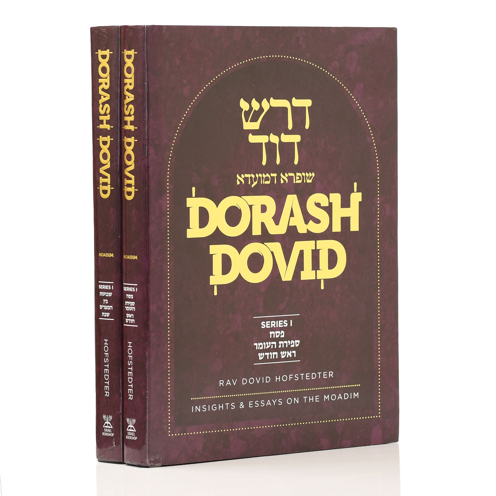 DRASH DOVID - FESTIVALS 2 VOL