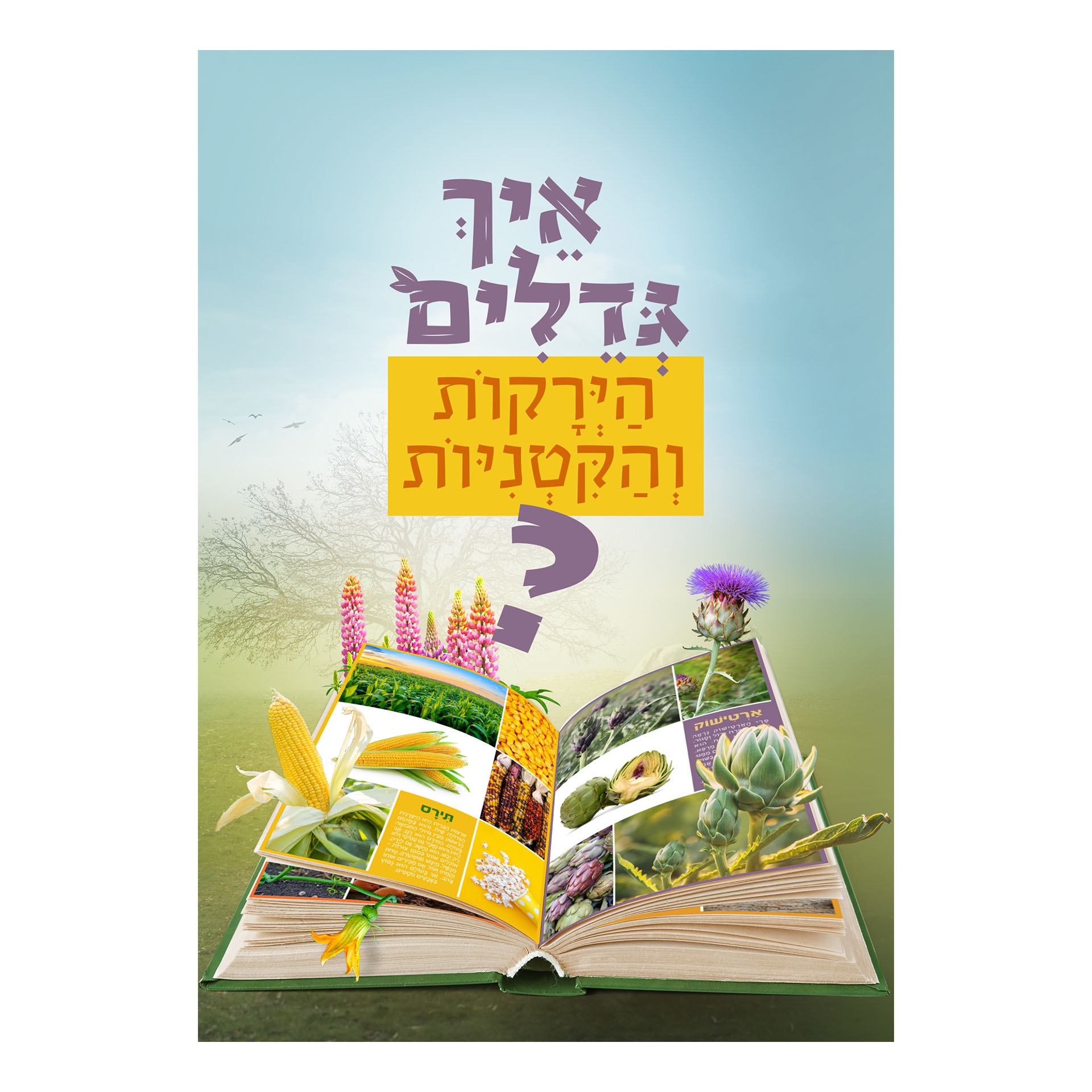 איך גדלים הירקות והקטניות