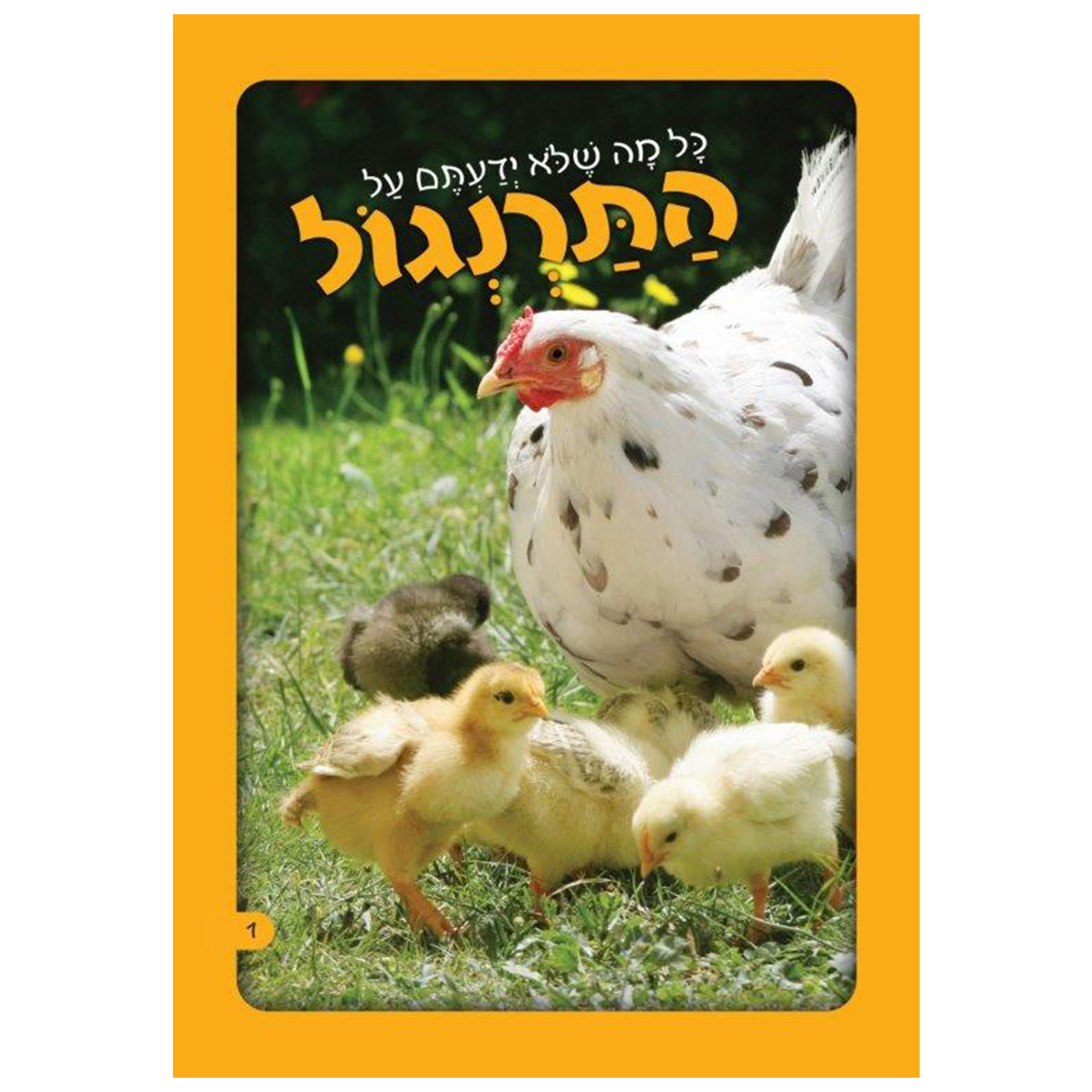 התרנגול