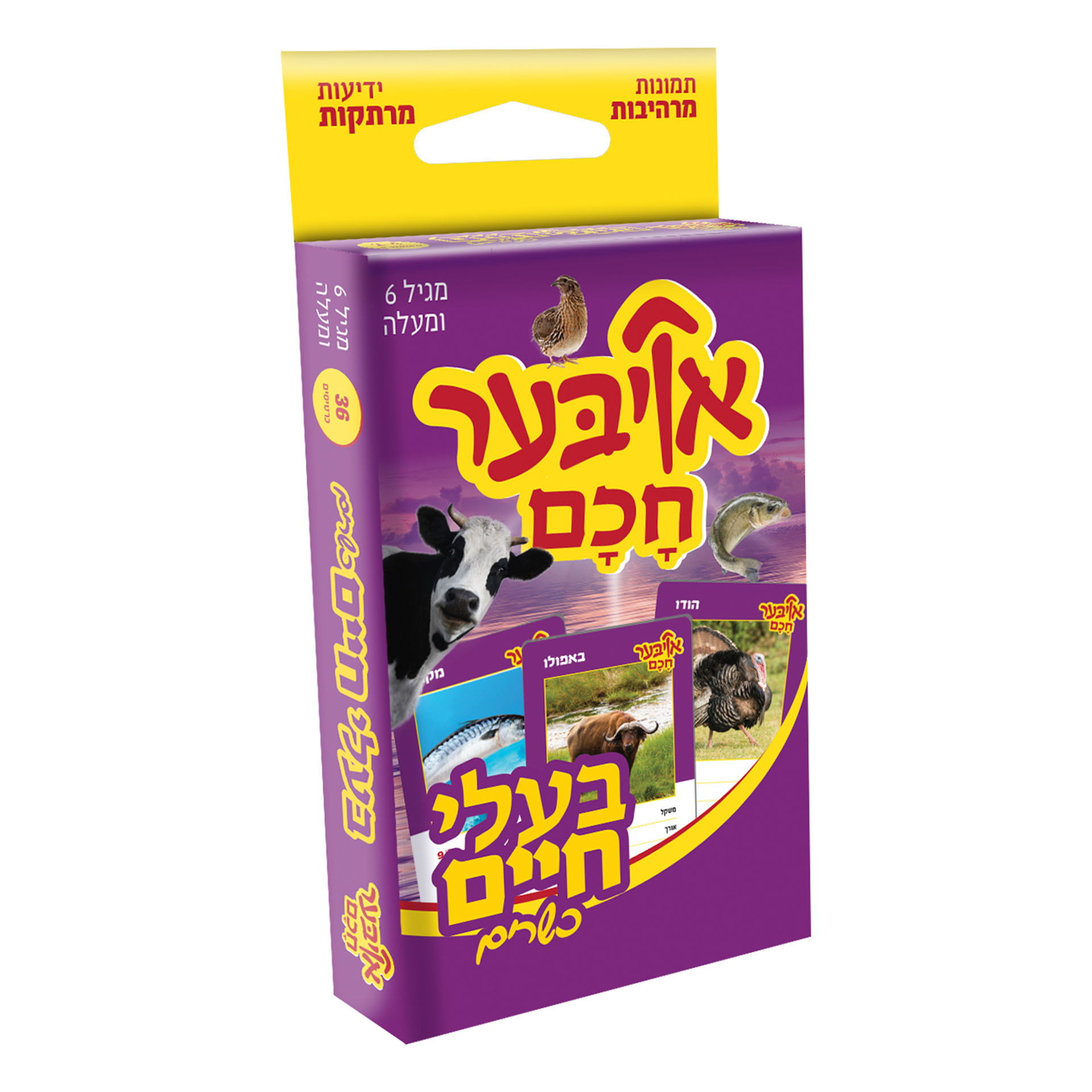 אויבער חכם בעלי חיים