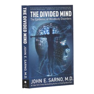 THE DIVIDED MIND