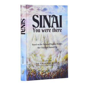 SINAI YOU WERE THERE