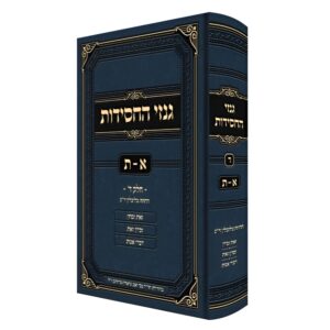 גנזי החסידות א-ת ד'