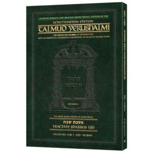 YERUSHALMI ENGLISH SHABBOS 3B 94A 113B